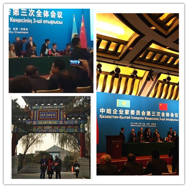 中哈企業(yè)家委員會(huì) 中哈企業(yè)家委員會(huì)